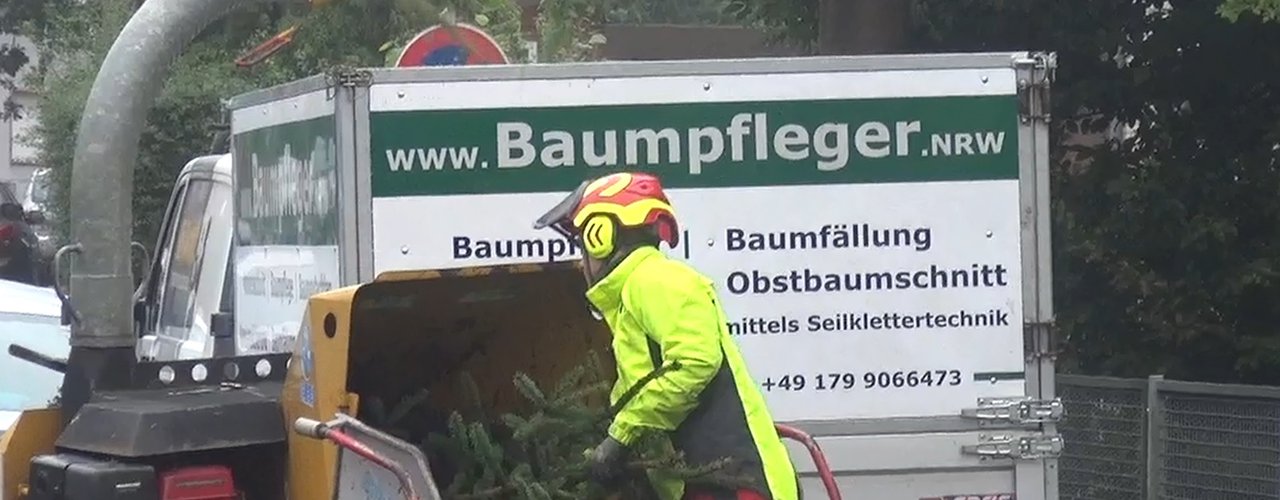 spezielle Fällung Holzhäcksler Häcksler Holzhacker Düsseldorf 1 baumpfleger.nrw ]