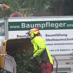 baumpfleger.nrw spezielle Fällung Holzhäcksler Häcksler Holzhacker Düsseldorf 1 [baumpfleger.nrw ]