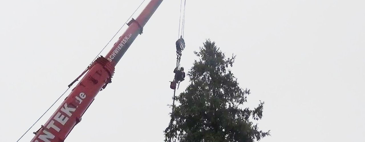 Kranfällung Kranfällung Düsseldorf 2 baumpfleger.nrw ]