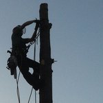 baumpfleger.nrw Projekte  [baumpfleger.nrw ]