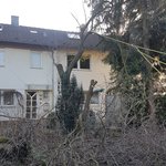 baumpfleger.nrw Projekte  [baumpfleger.nrw ]