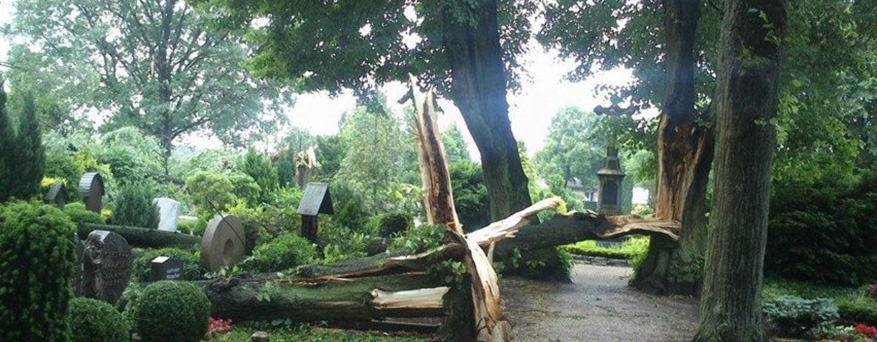 Sturmschäden 1 baumpfleger.nrw ]