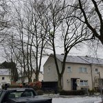 baumpfleger.nrw Projekte  [baumpfleger.nrw ]